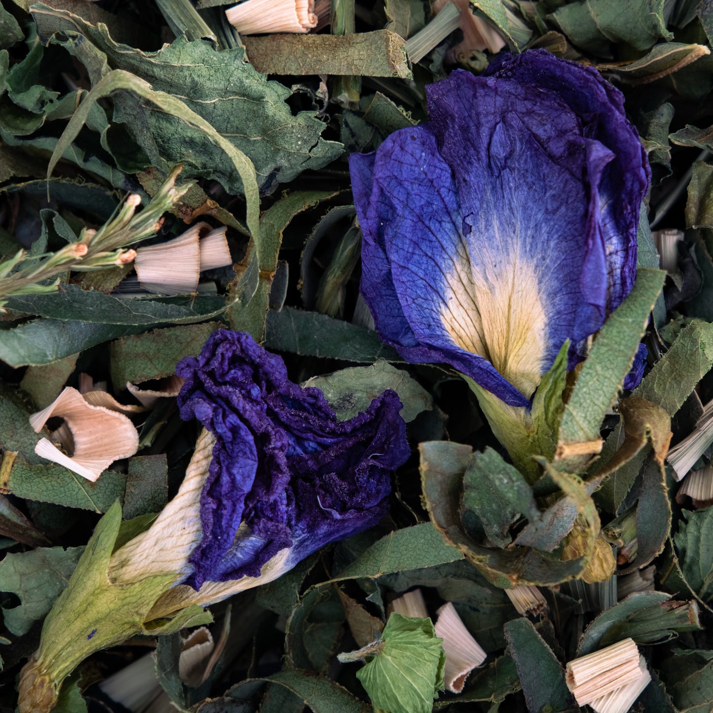 Colibri Bleu Pois Papillon ( Corossol, Verveine, Citronnnelle, Clitoria Ternatea )