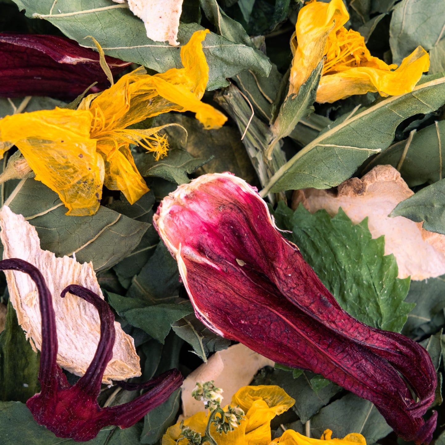 Tourterelle Amoureuse Groseille ( Damiana, Ortie, Gingembre, Hibiscus )