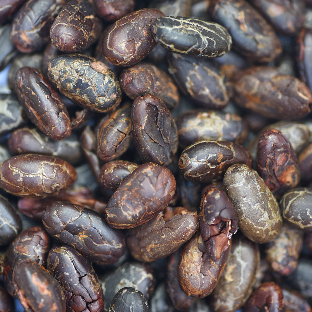 
                  
                    FÈVES DE CACAO TORREFIES ( Theobroma cacao )
                  
                